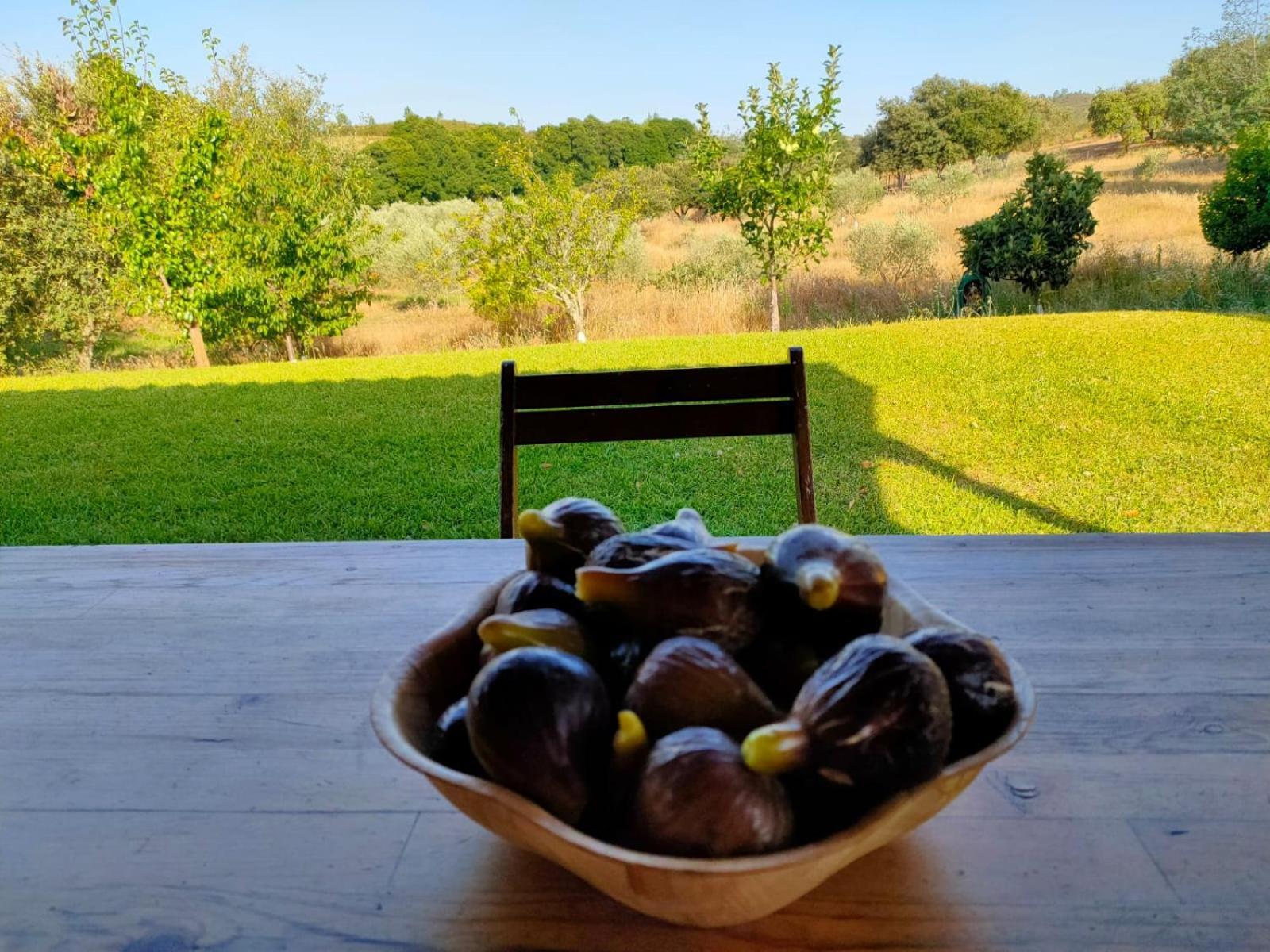 Casa Rural Camino Del Alentejo La Codosera Quarto foto