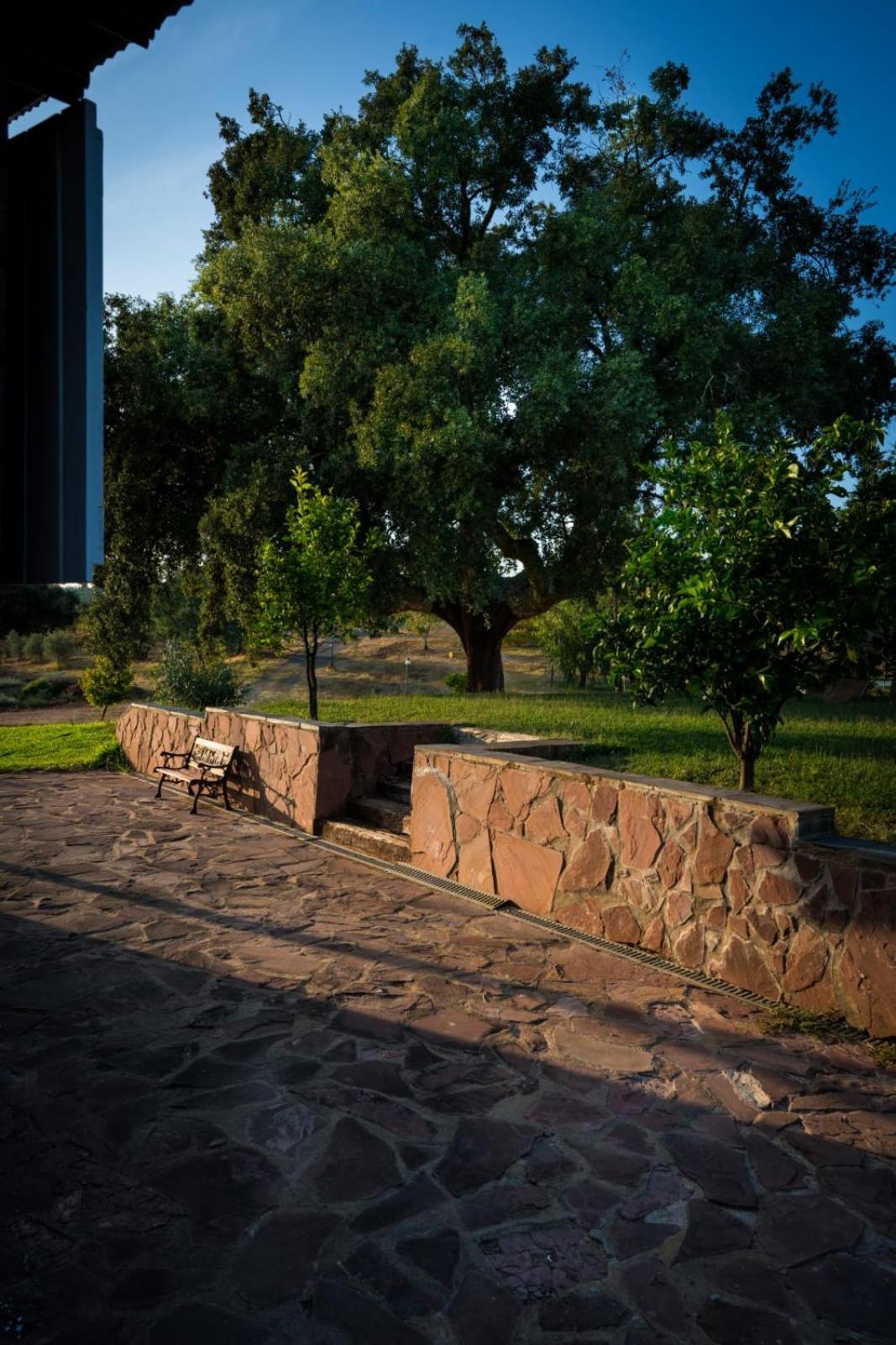 Casa Rural Camino Del Alentejo La Codosera Quarto foto